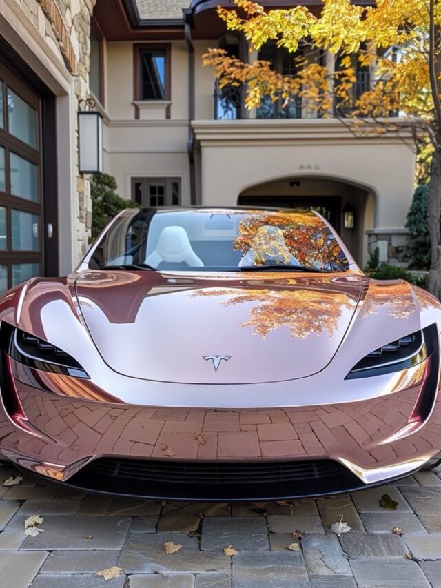 tesla india और विनफास्ट का लॉन्च